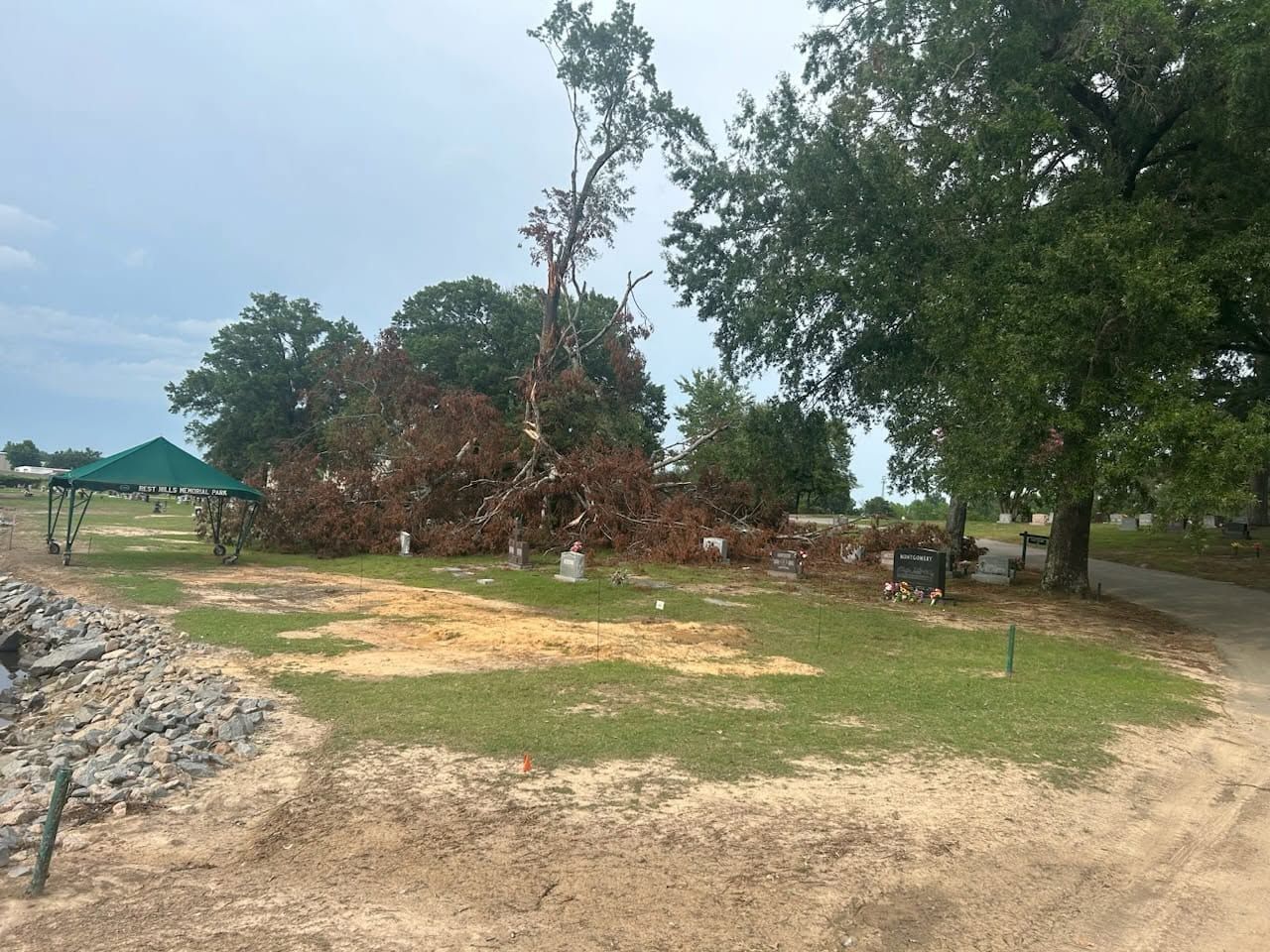 Dirt clearing with trees and a rocky path beside a green-roofed shelter outdoors