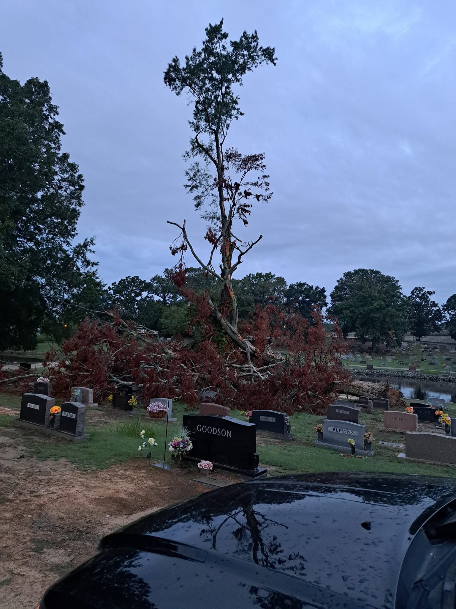 Cemetery with broken tree and fallen branches among gravestones under a cloudy sky, car hood in foreground
