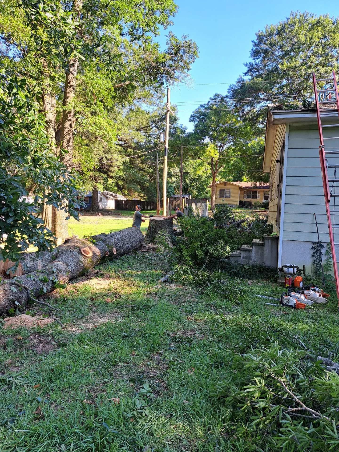 Backyard with fallen tree trunk, yard debris, and a house wall with a ladder on the right
