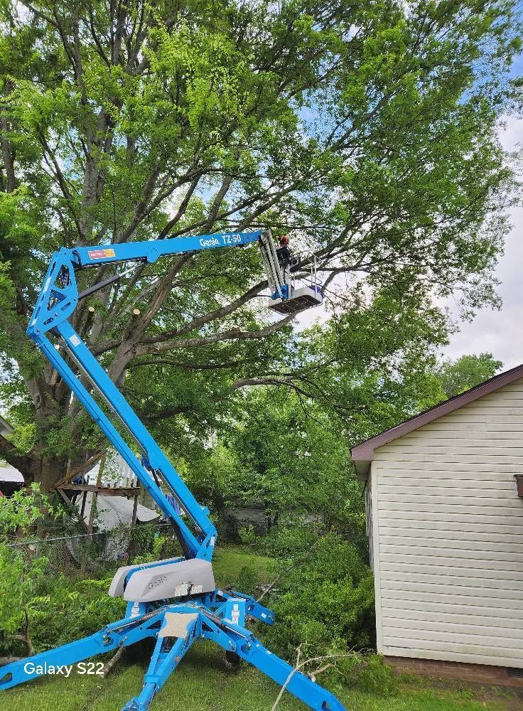 Blue boom lift raised beside a house, with a worker near tree branches under a leafy tree.