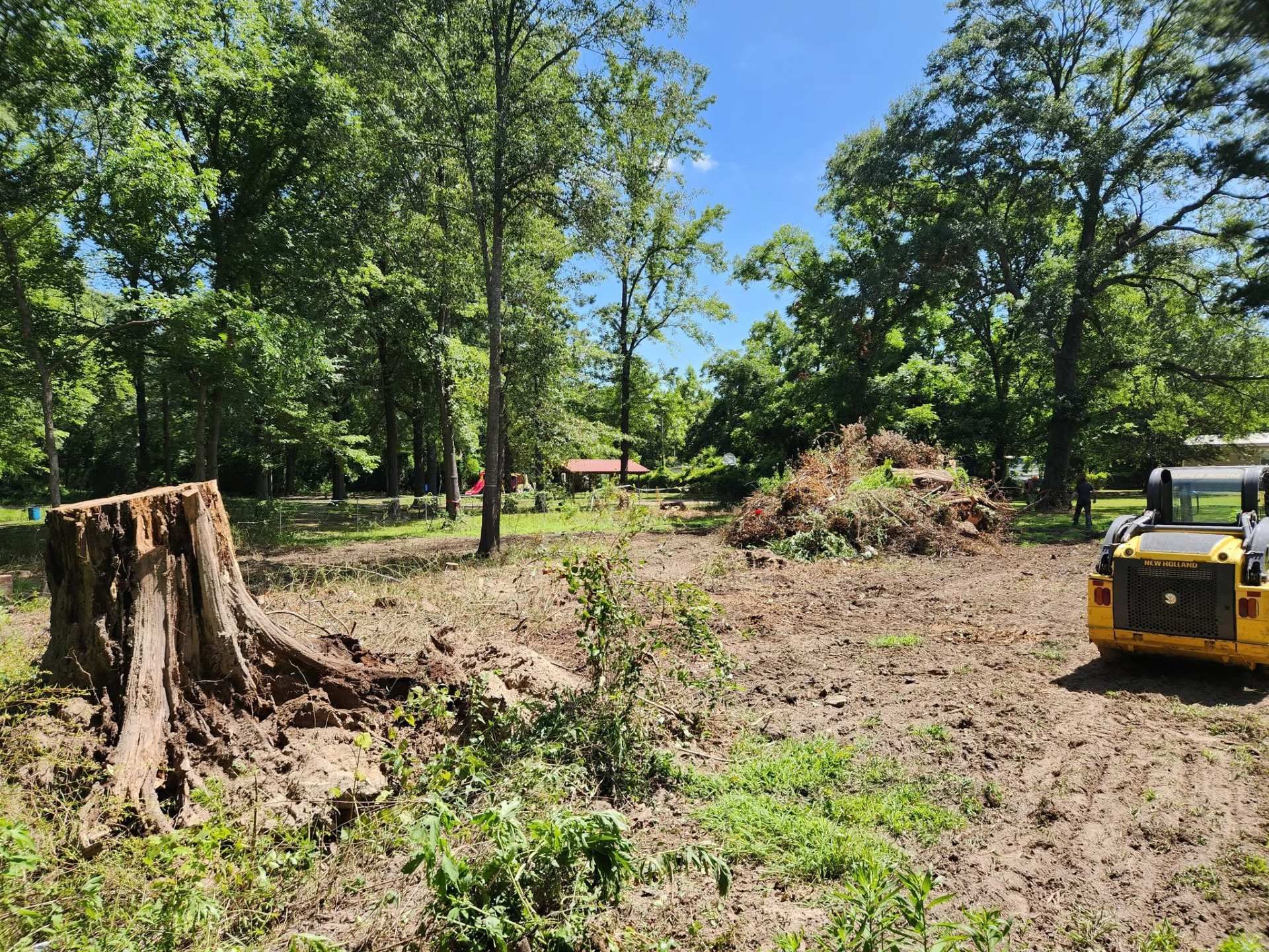 Cleared dirt lot with tree stumps and a yellow bulldozer in a wooded area under blue sky