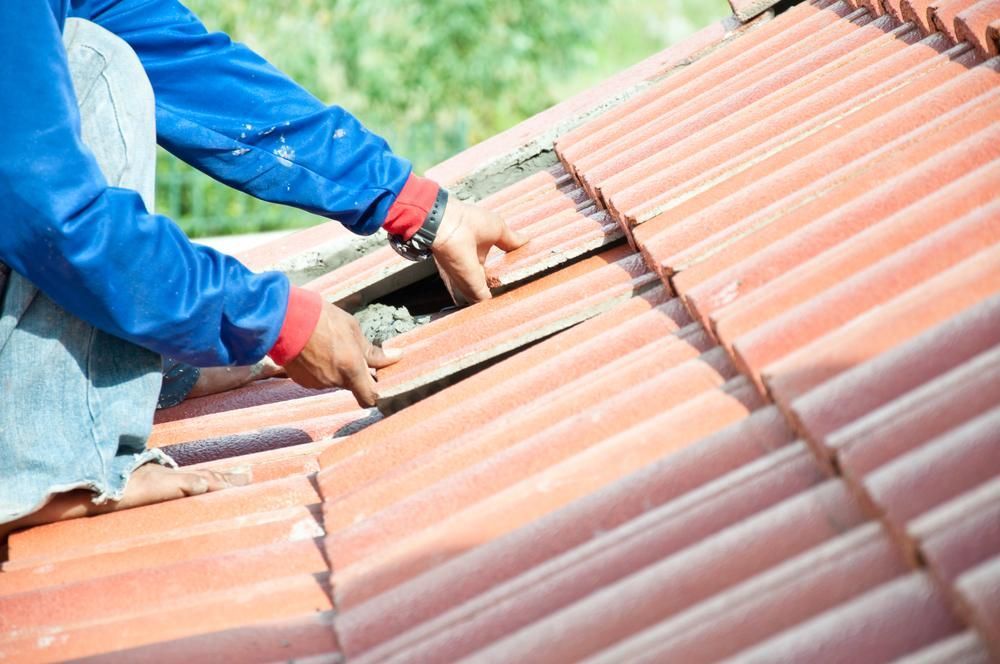 Person in Blue Shirt Replacing Terracotta Roof Tiles — AB QUICK Painting & Maintenance Services In Mareeba, QLD
