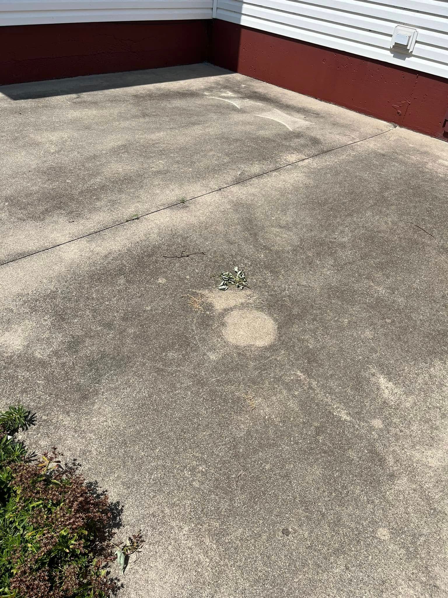 A concrete driveway in front of a house with a plant growing out of it.