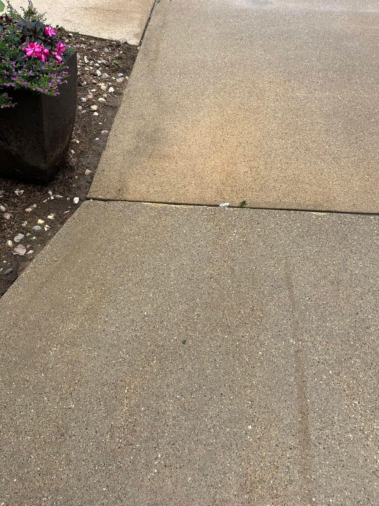 A concrete sidewalk with a potted plant in the background.