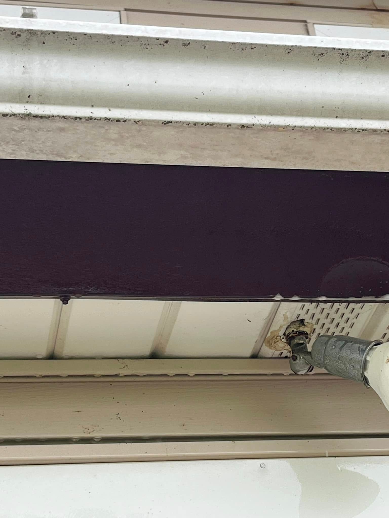 A squirrel is sitting under a gutter on the side of a house.