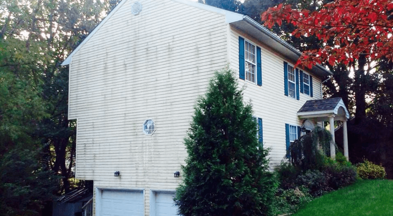 Before Cleaning the House Side — Wilmington, DE — Ayala Painting