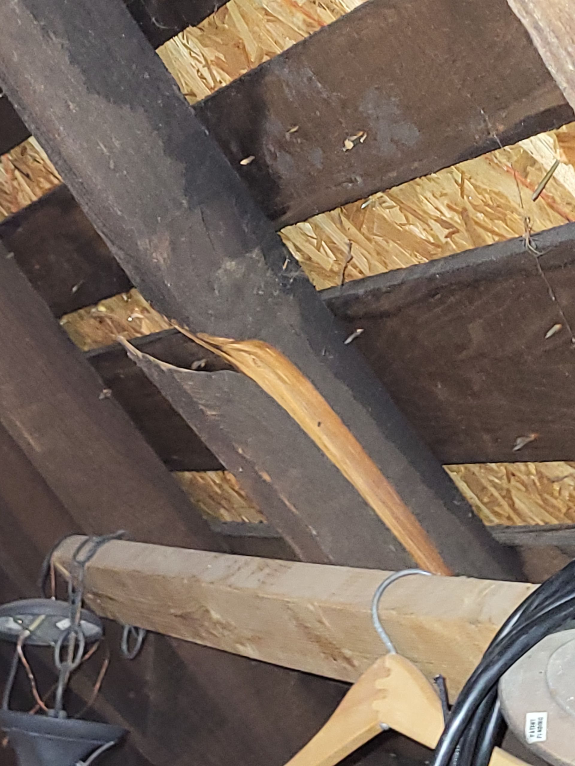 A structural wooden rafter in an attic has a significant longitudinal split or crack running along its length.