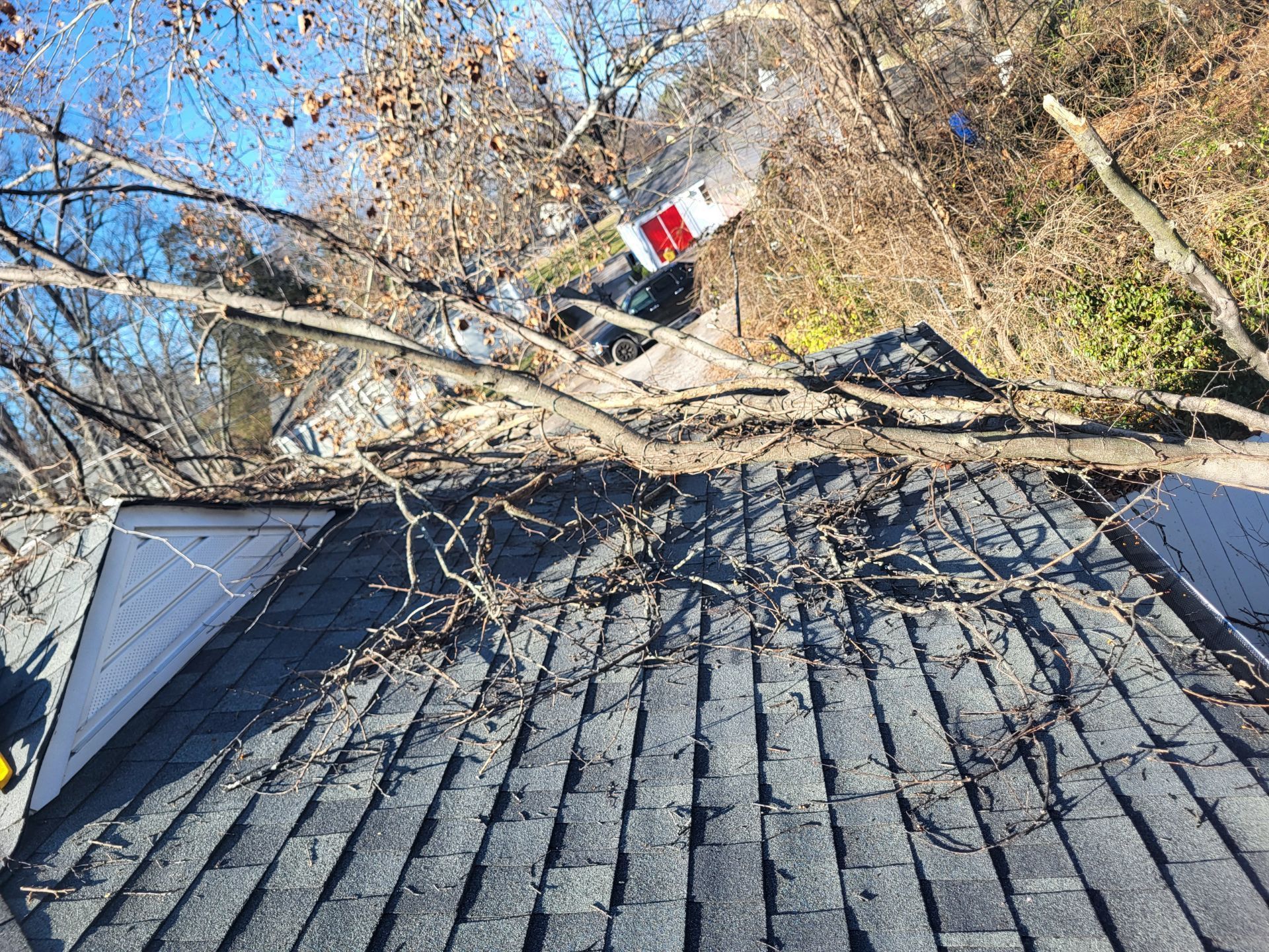 A large tree branch has fallen onto the shingled roof of a house, causing visible damage.