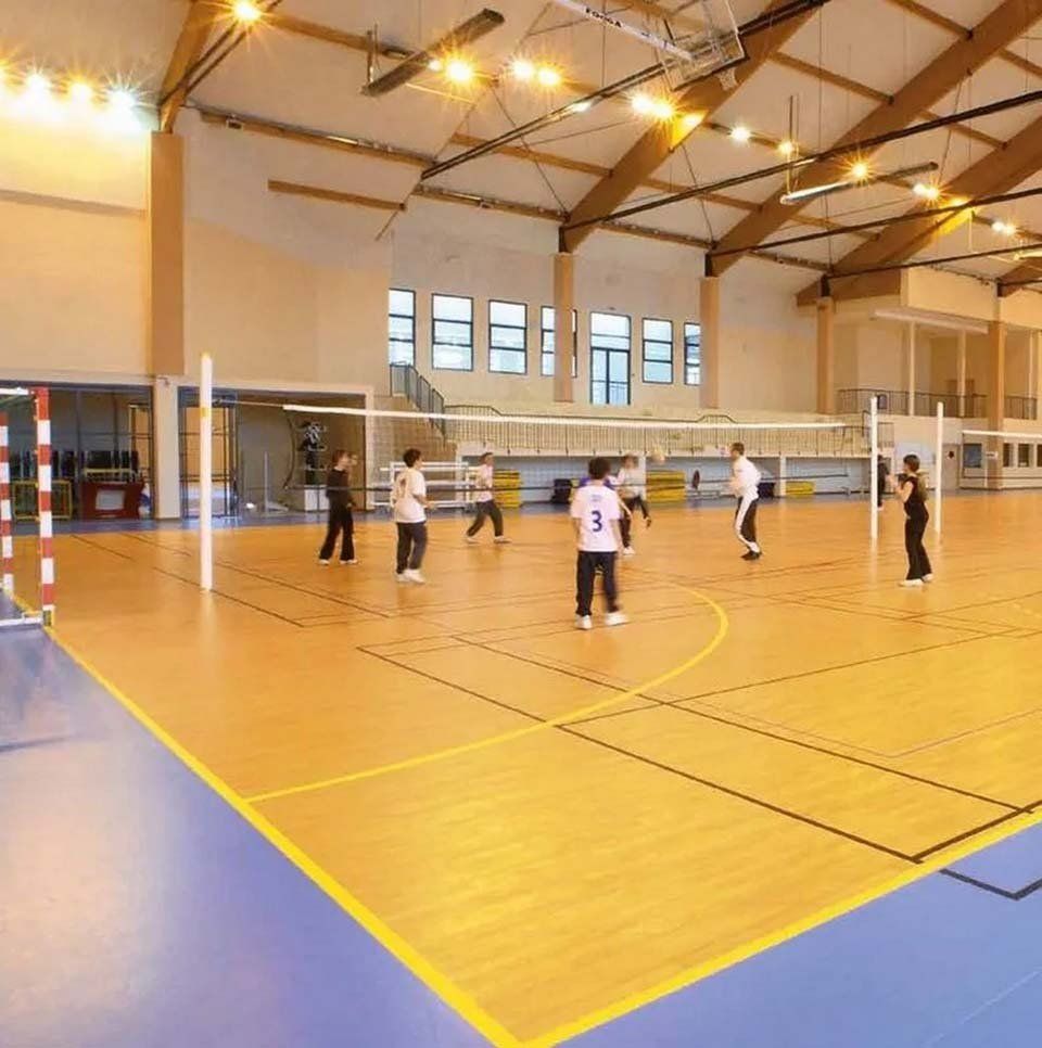 superficie campo da basket