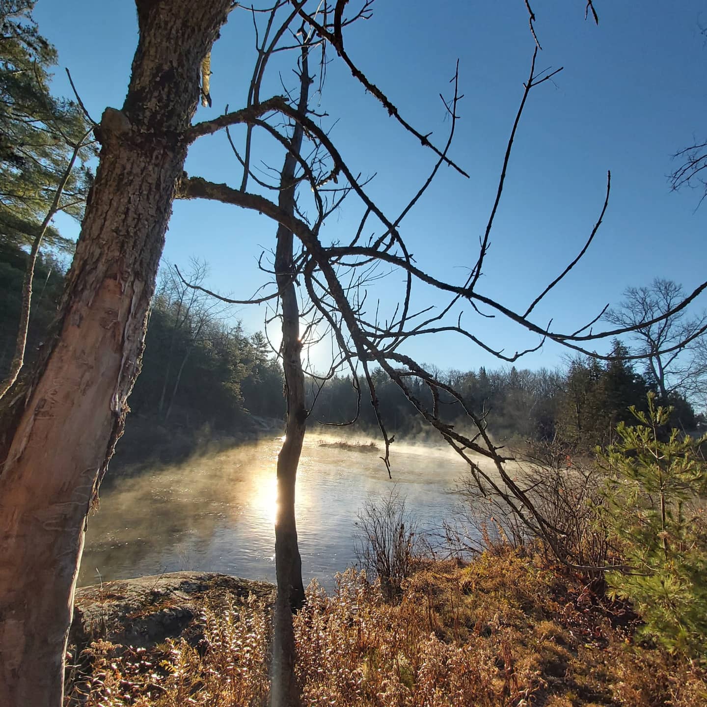 Sunlit river at dawn with mist, bare tree branches, and autumn foliage along the bank