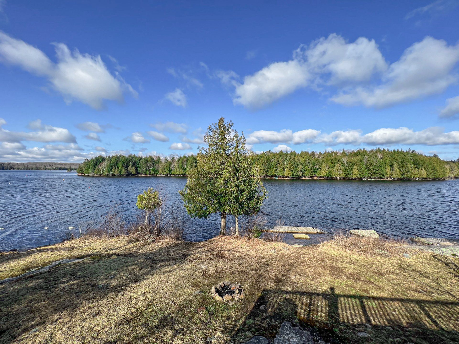 Rocky lakeshore with a small tree, blue water, and cloudy sky under bright sunlight