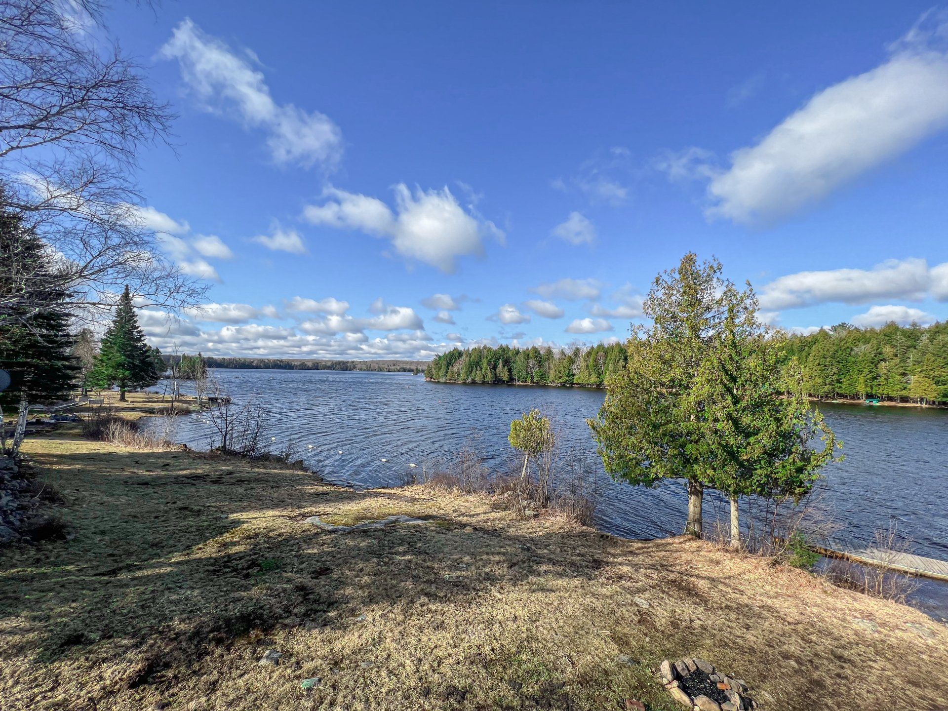 Lake shoreline with rippling water, green trees, and a bright blue sky with scattered clouds