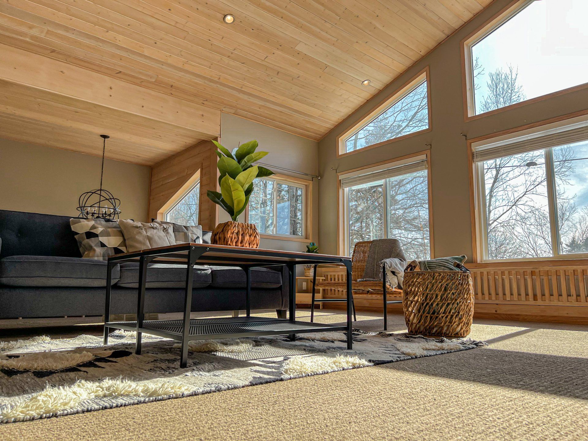 Sunlit living room with large windows, modern sofa, coffee table, and potted plant on a rug under a wood ceiling