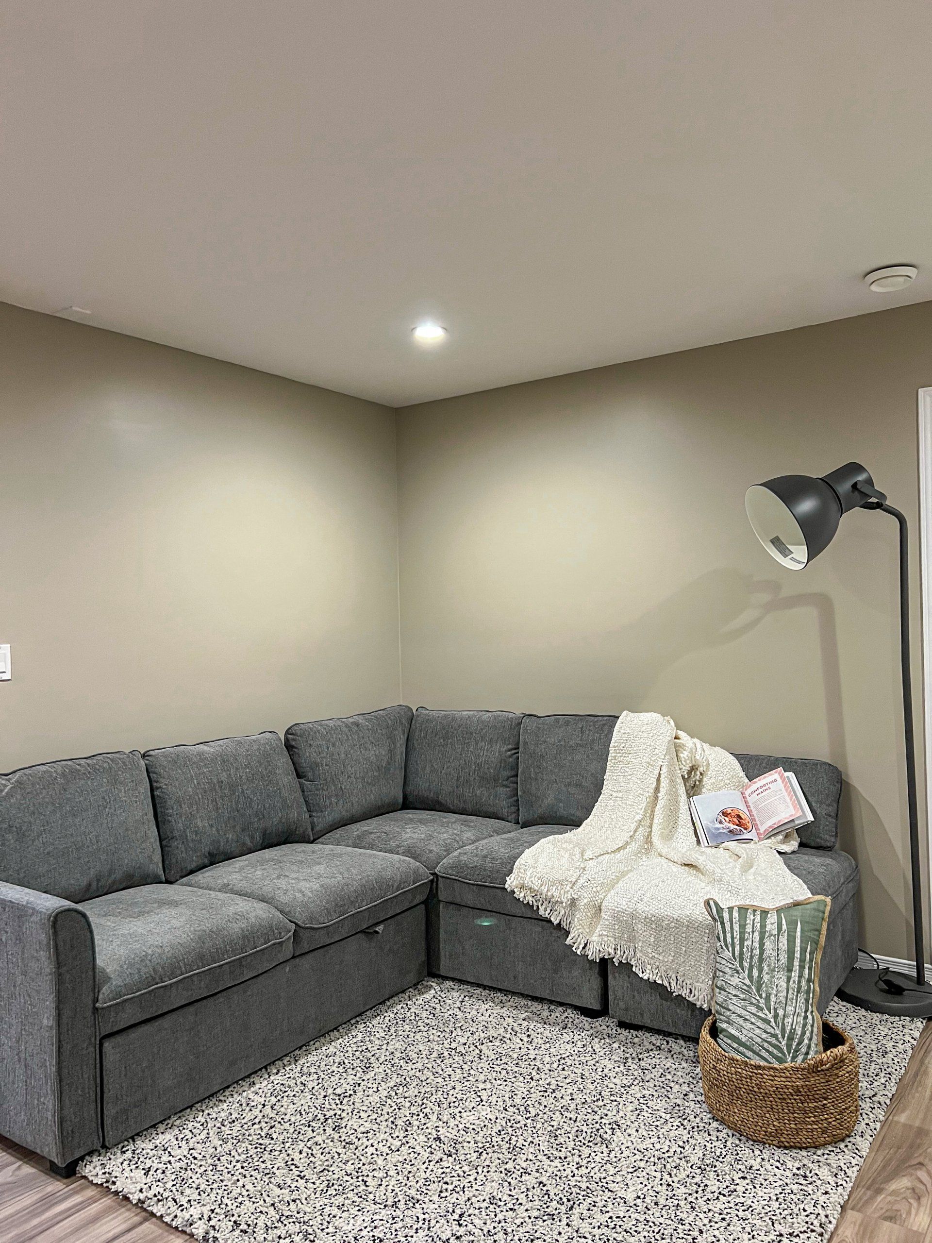 Cozy living room with gray sectional, cream throw blanket, floor lamp, and speckled rug.