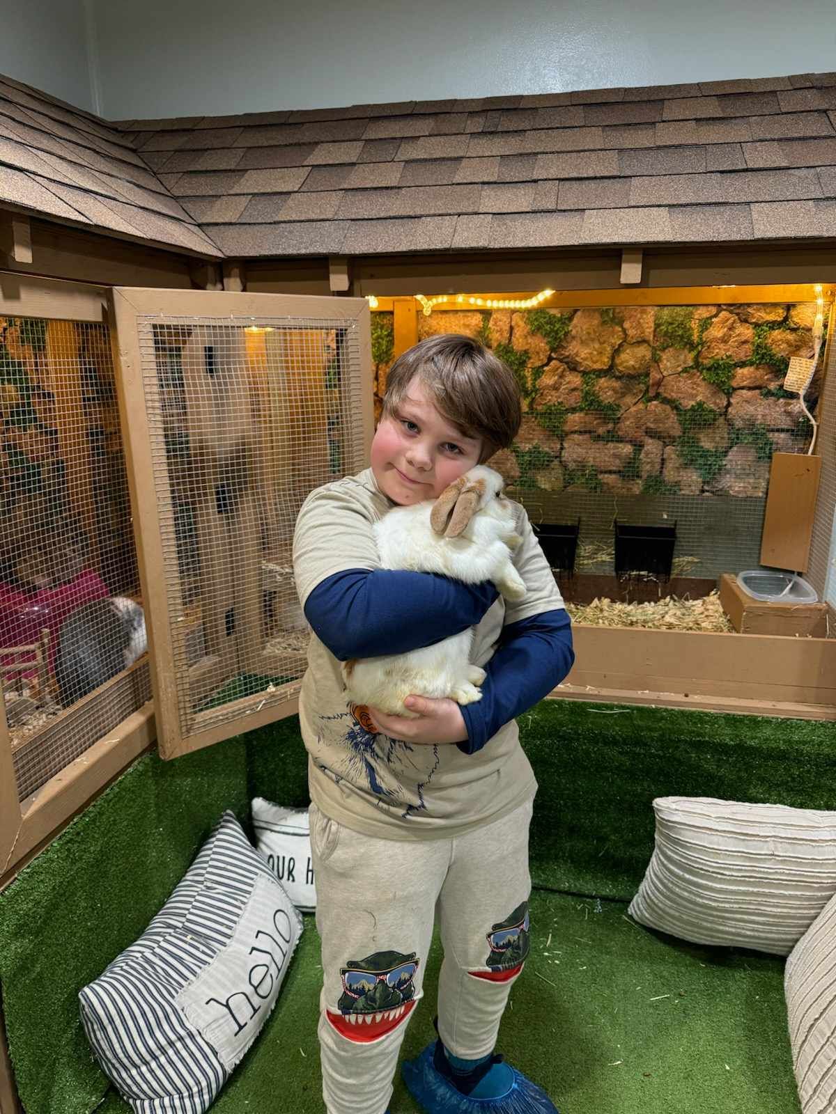A young boy is holding a white rabbit in a cage.