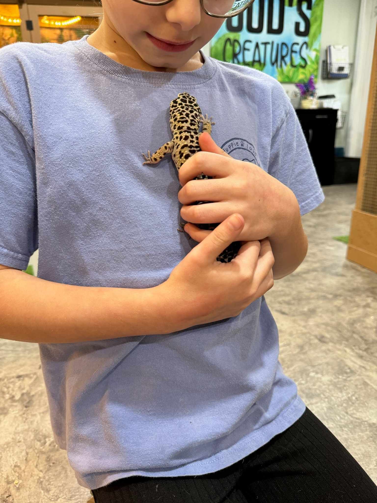 A young boy is holding a small lizard in his hands.