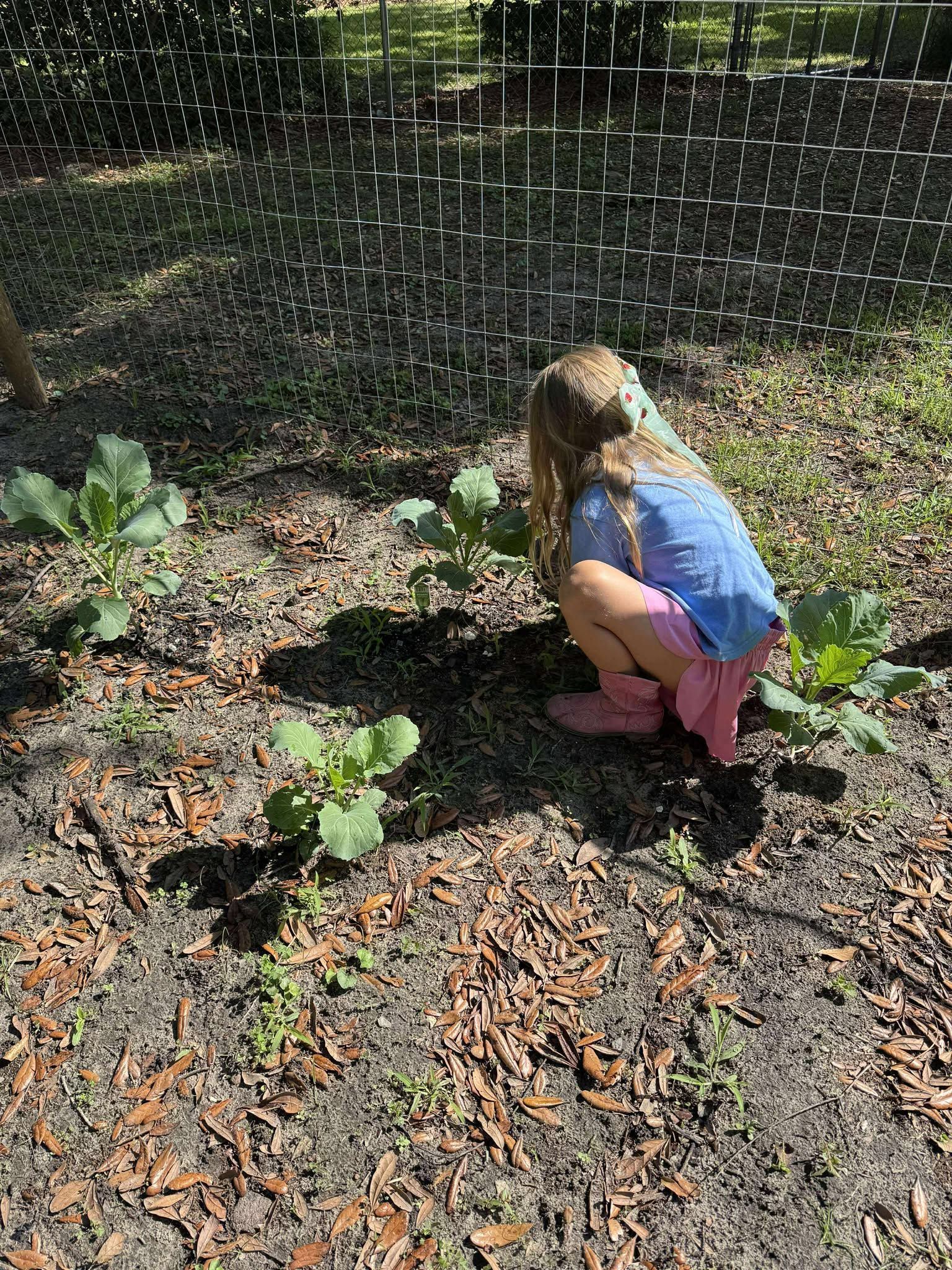 A little girl is squatting in the dirt in a garden.