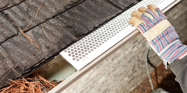 A gloved hand installing a white, perforated metal gutter guard onto a roof gutter filled with pine needles.