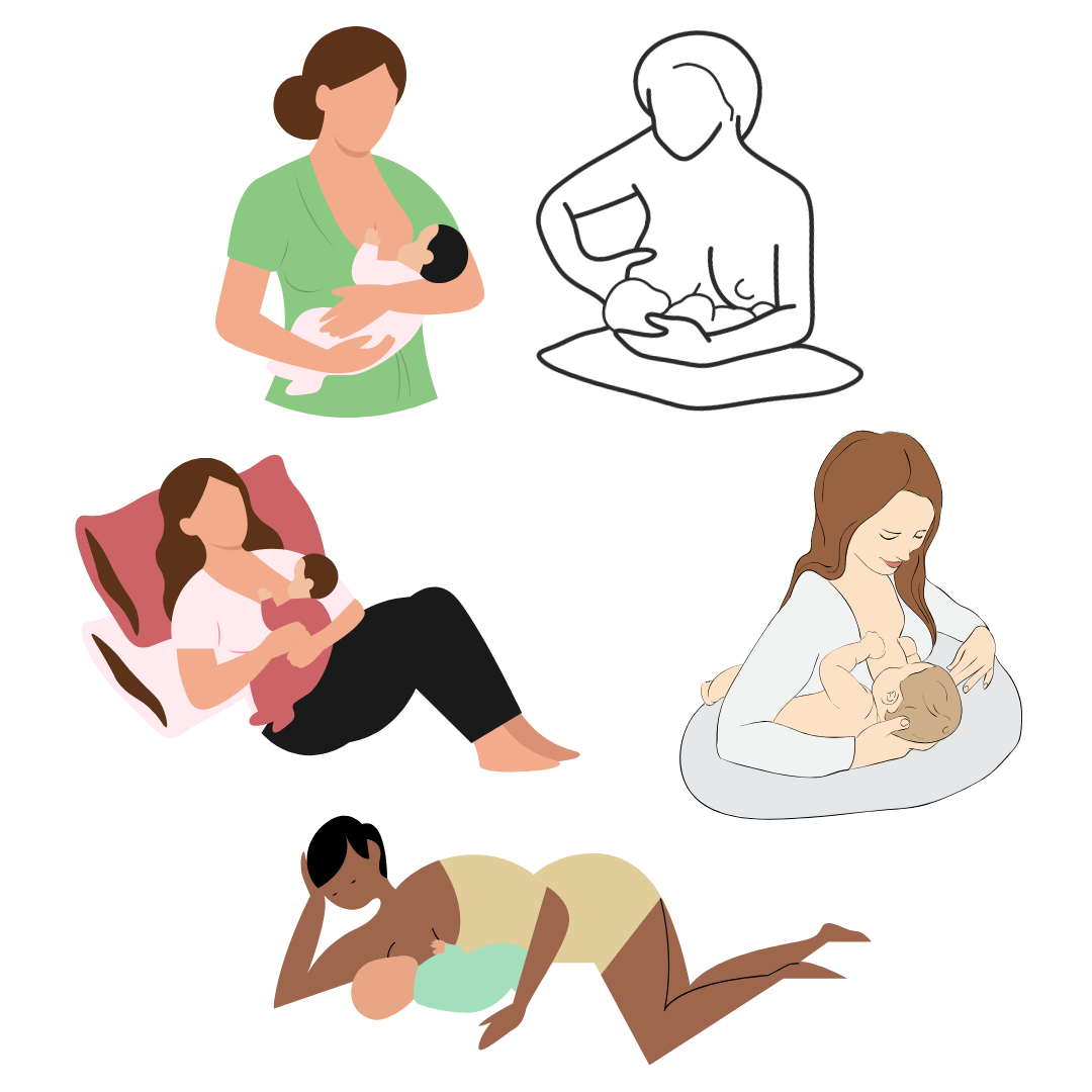 Five illustrations of women breastfeeding in different positions, in soft pastel colors and one black and white