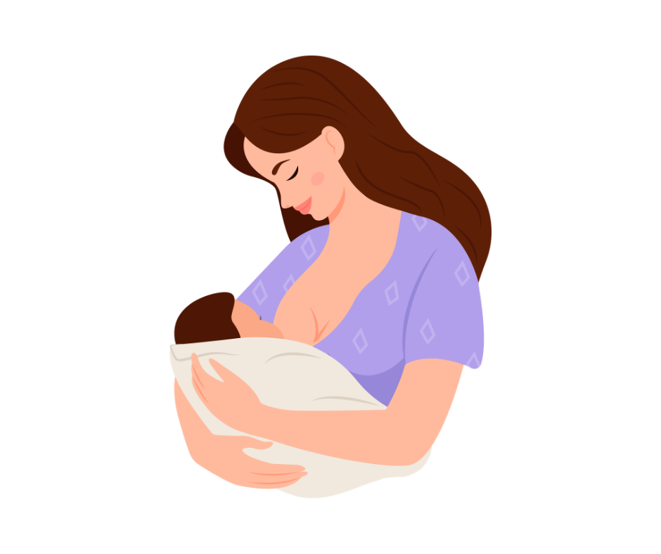 Click For Lactation Services Woman in a purple top breastfeeding a baby wrapped in a white blanket