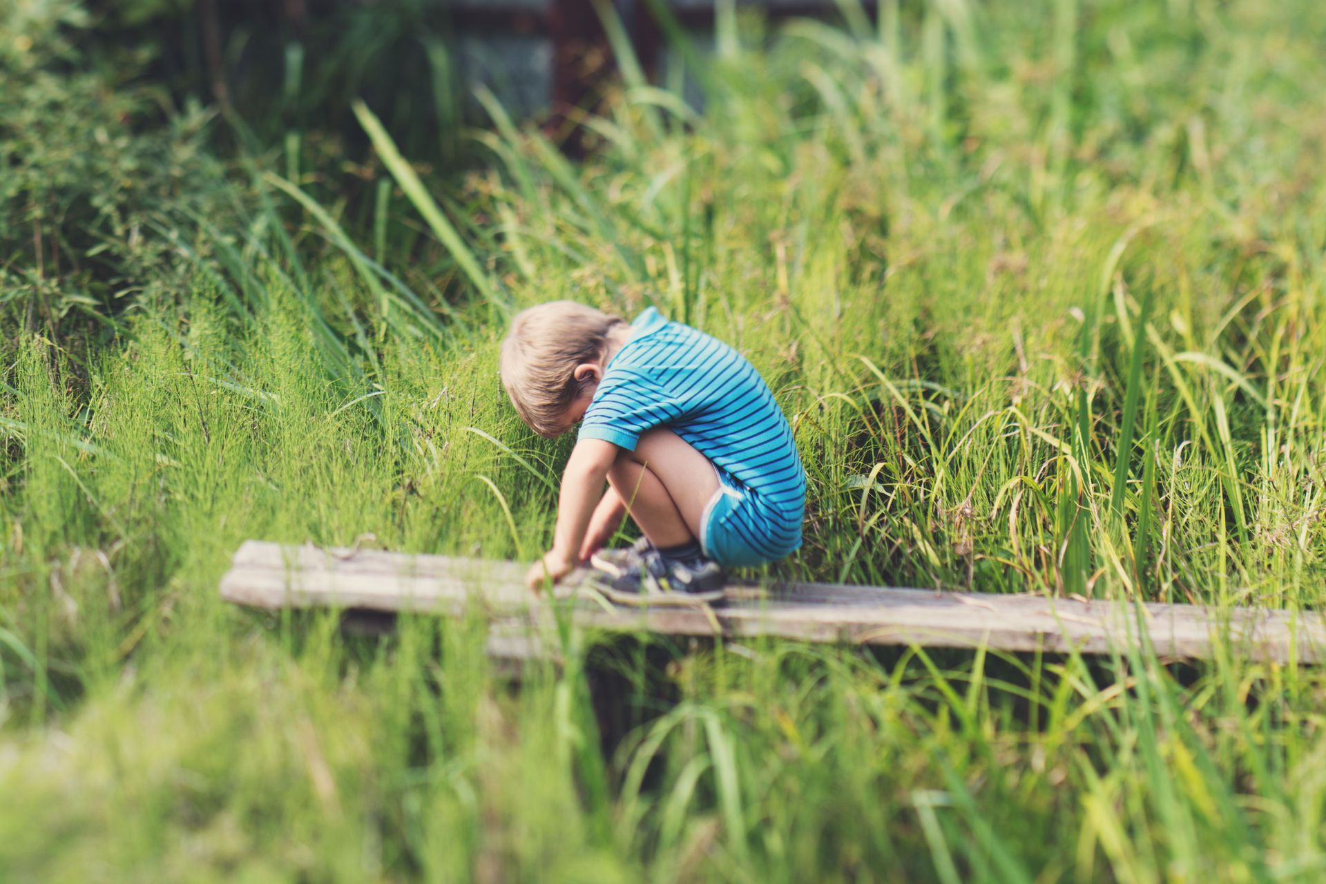 Child in a blue striped shirt crouches on a wooden plank in tall green grass.