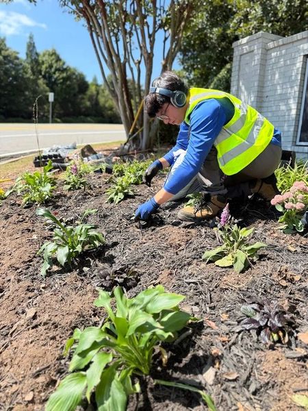 Worker in neon vest and blue gloves planting flowers in a garden bed outdoors