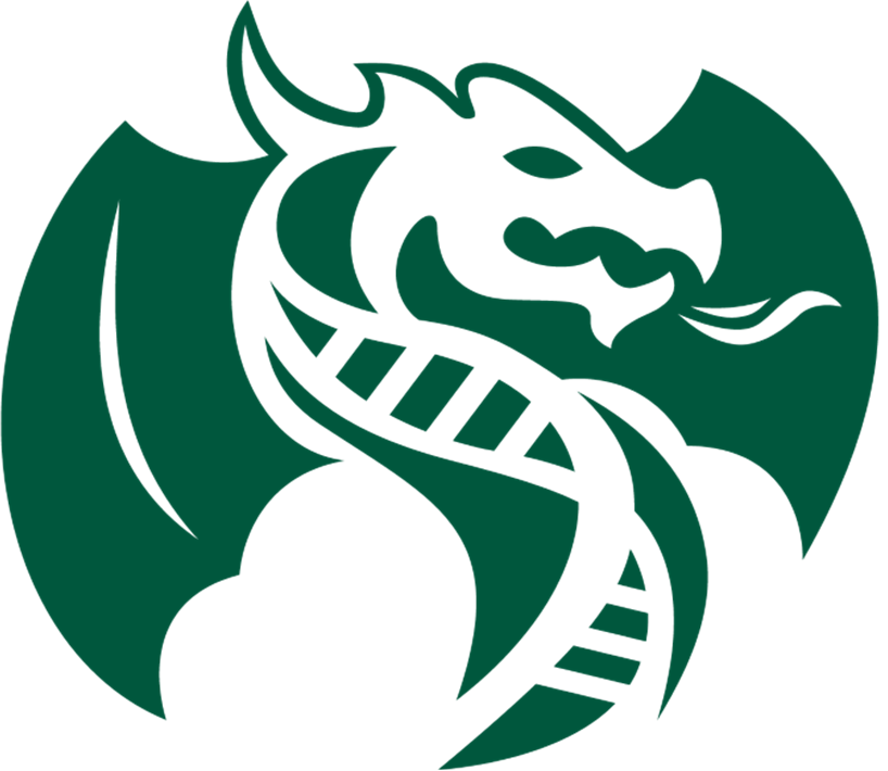 Dragon Master Initiative