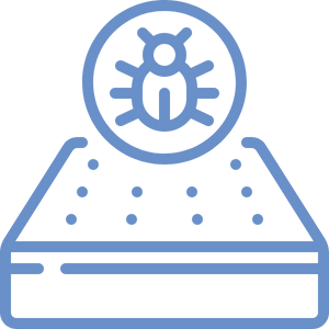 mattress-and-bed-bug-icon