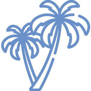 palm-tree