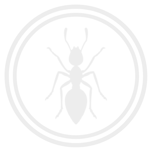 a silhouette of an ant in a circle on a white background .