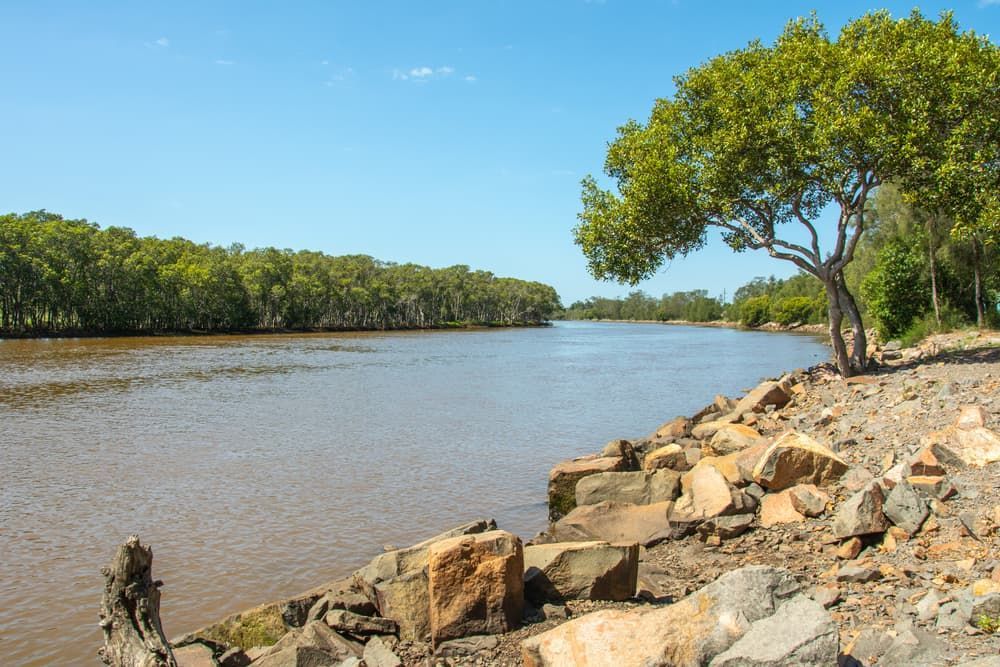 A Tree Is Sitting on The Shore of A River — Twin Lakes Towing & Recovery in Hexham, NSW