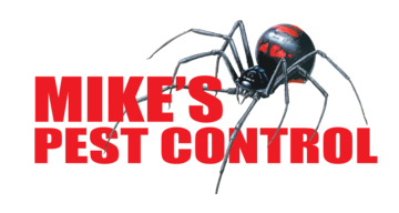 visit website