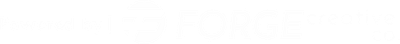 Thin horizontal light gray gradient bar on white background