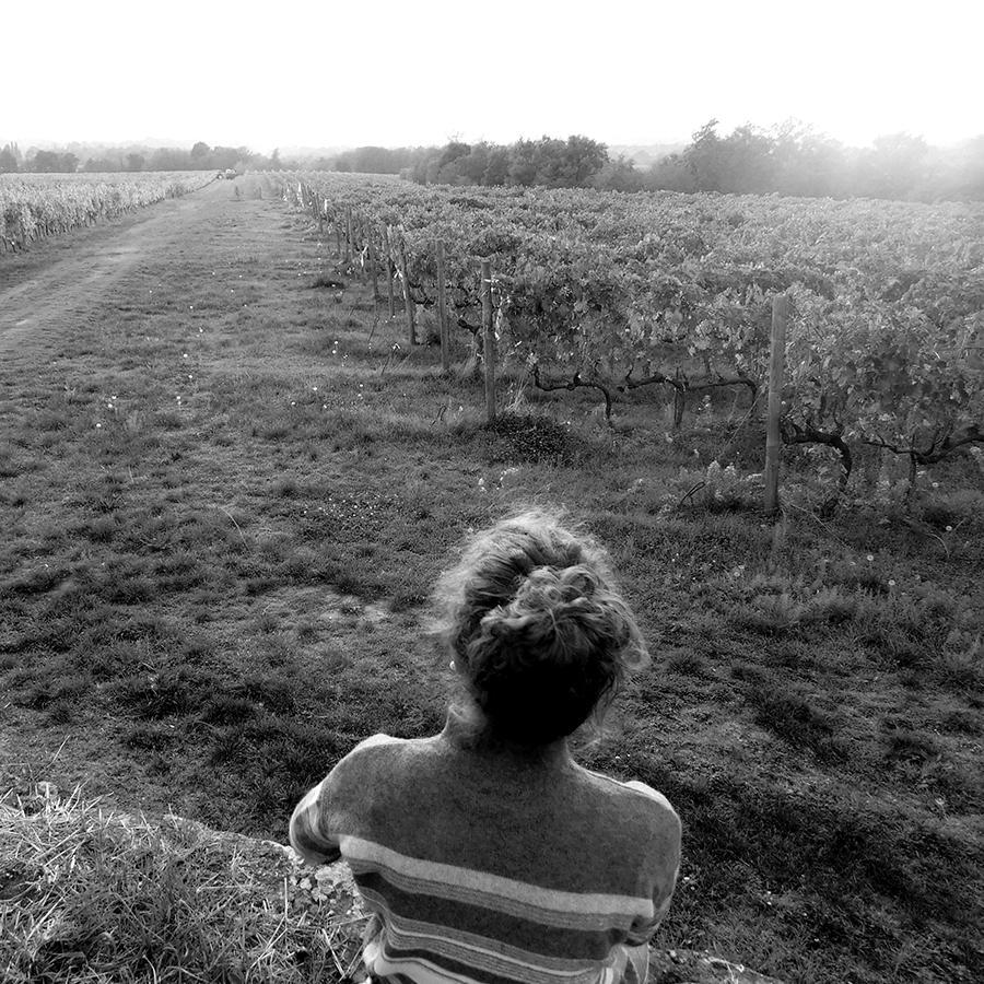 Black and white picture of a person gazing at rows of grapevines in Ejamu vineyard.