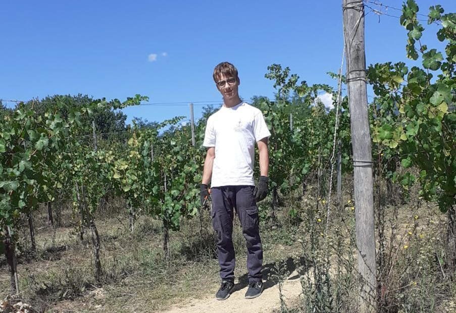 Winemaker of Ejamu stands in vineyard, holding gloves, on a sunny day.