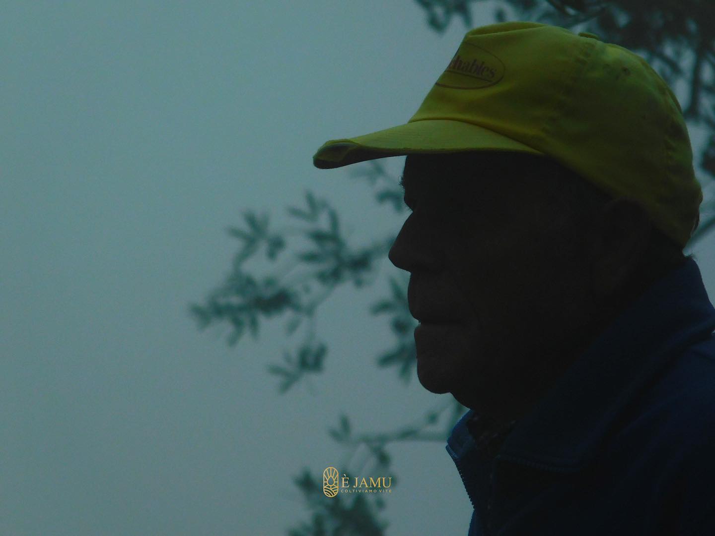Man in yellow cap, silhouetted in overcast weather, beside blurry tree branches at Ejamu