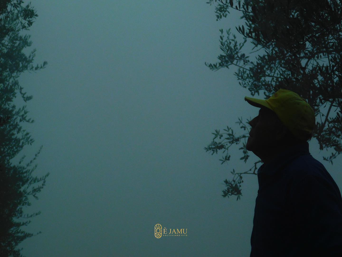 Winemaker of Ejamu in yellow hat looks up at a foggy sky