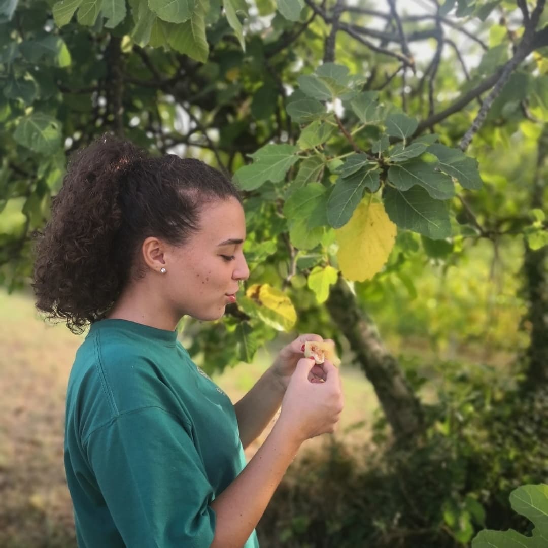Woman in green shirt examines a leaf, standing near a tree with green and yellow leaves, at Ejamu