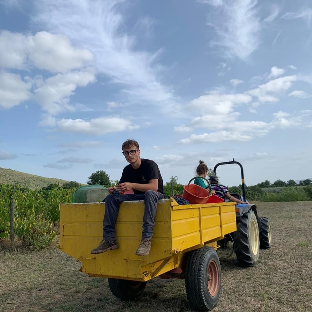 Man sitting on a yellow wagon pulled by a tractor in a vineyard, at Ejamu
