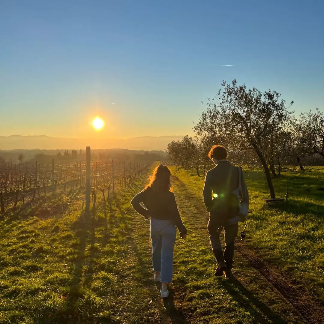 Two people walking on a path in Ejamu vineyard at sunset.