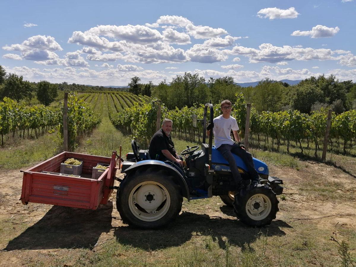 Two people on a blue tractor with a red cart in Ejamu vineyard.