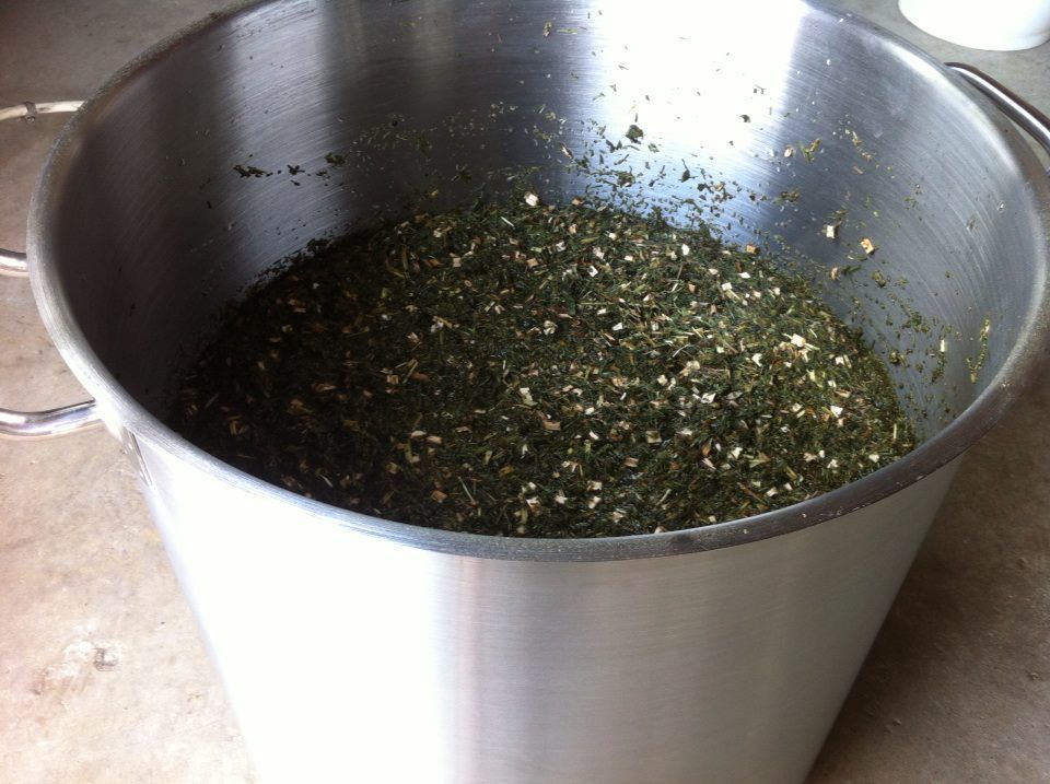 Metal bucket filled with chopped green and tan plant matter at Champagne Lelarge-Pugeot