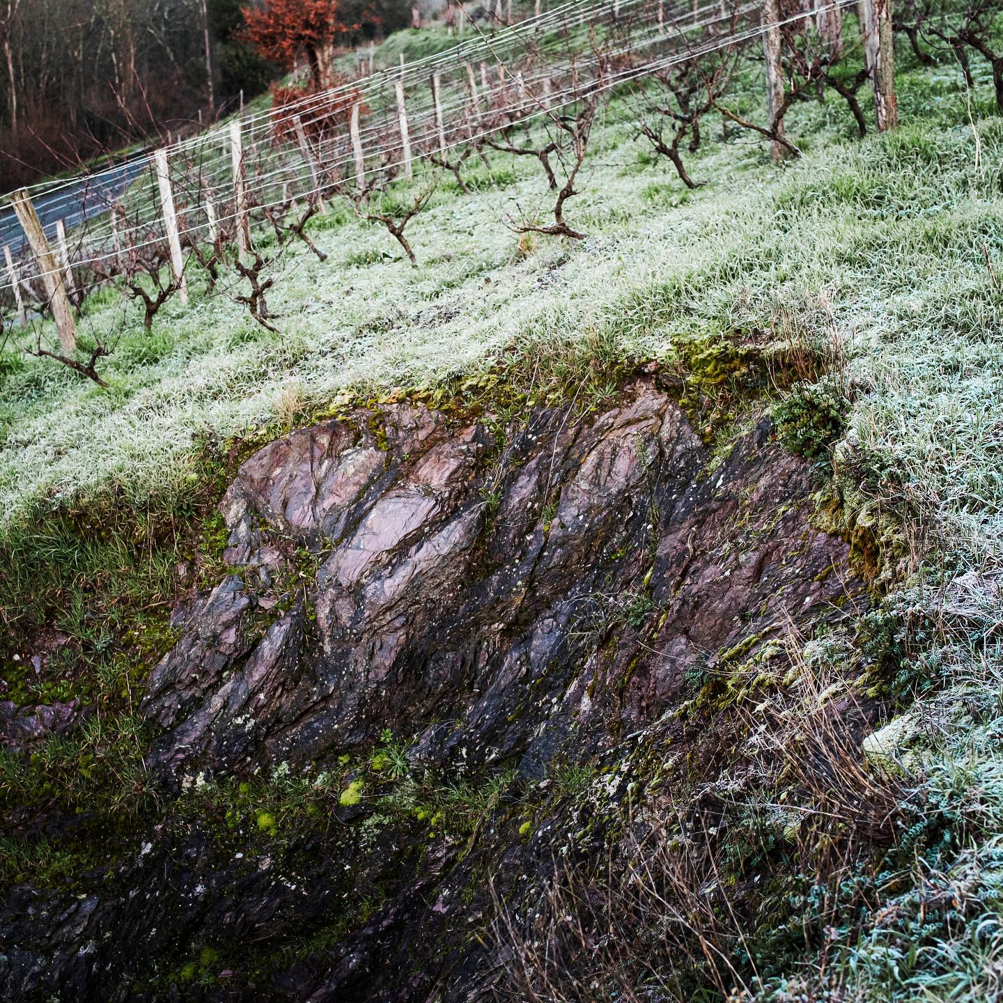 Rock formation in a hillside vineyard with dormant vines; at Domaine Belargus.