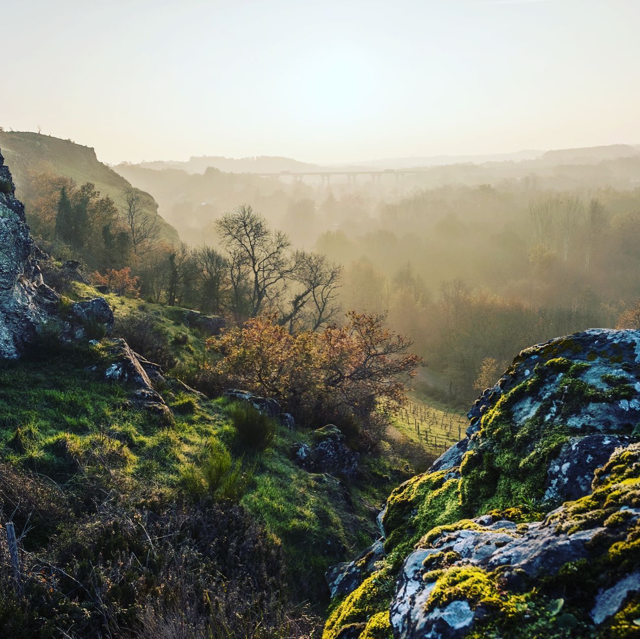 Rocky hillside overlooking a misty valley, at Domaine Belargus