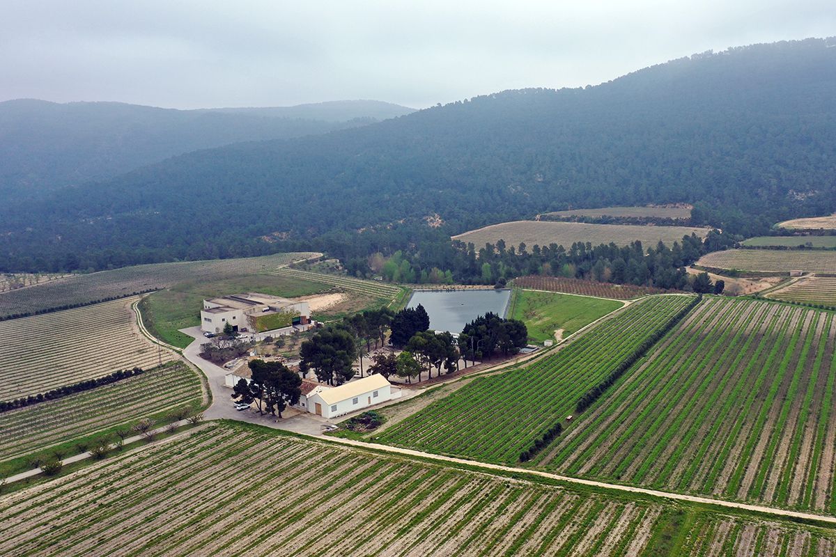 Aerial view of a vineyard with a building, trees, and a lake in a valley with mountains.