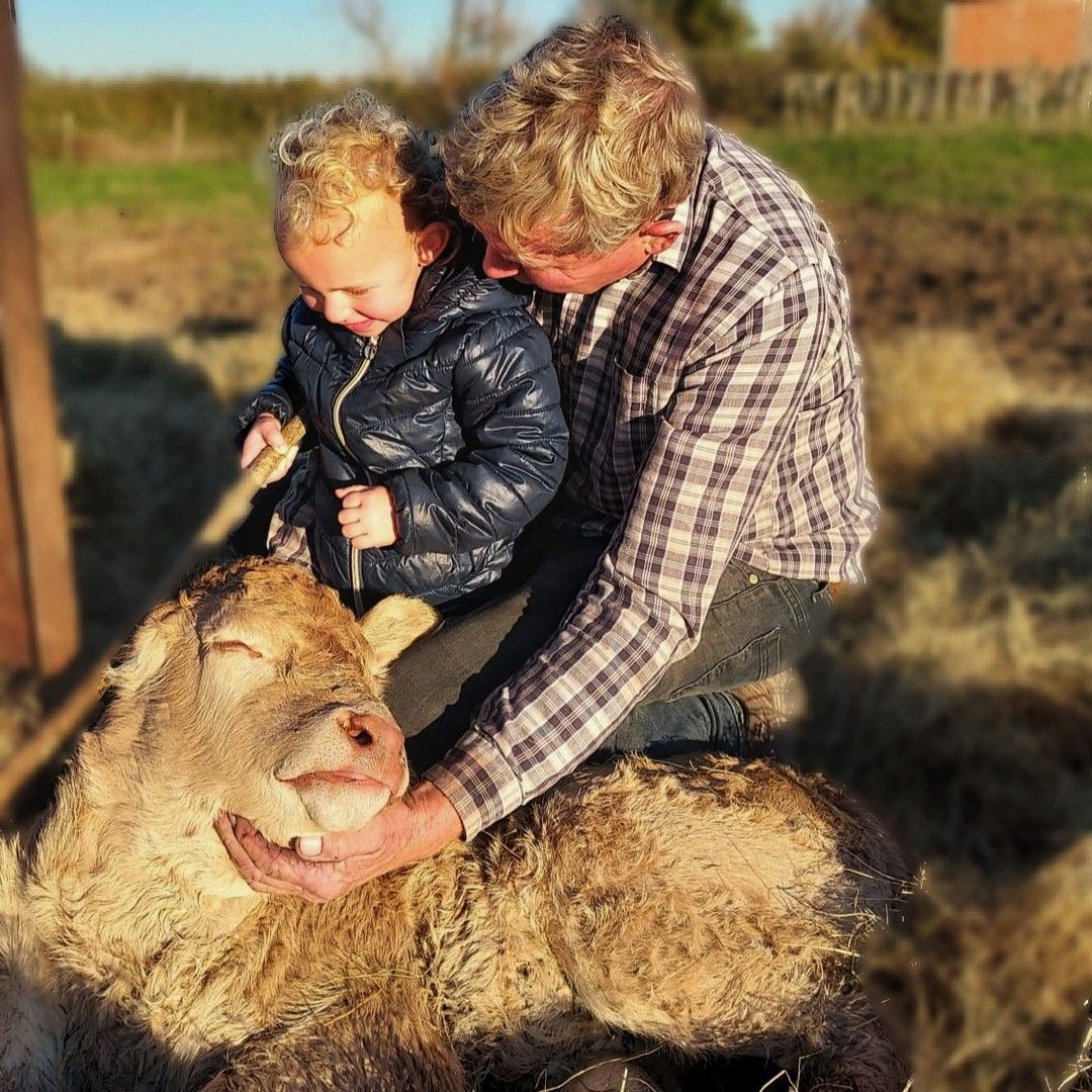Man and child petting a smiling sheep in a sunny field, at Château Saint Hilaire