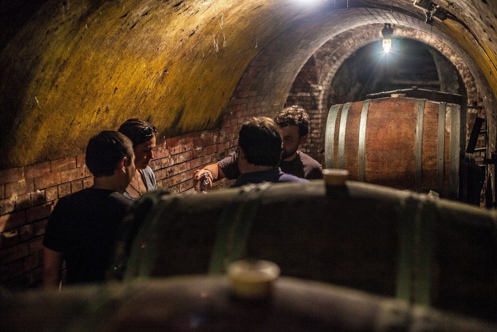 A small group tasting wine inside an underground cellar at Zillinger, surrounded by wooden barrels.