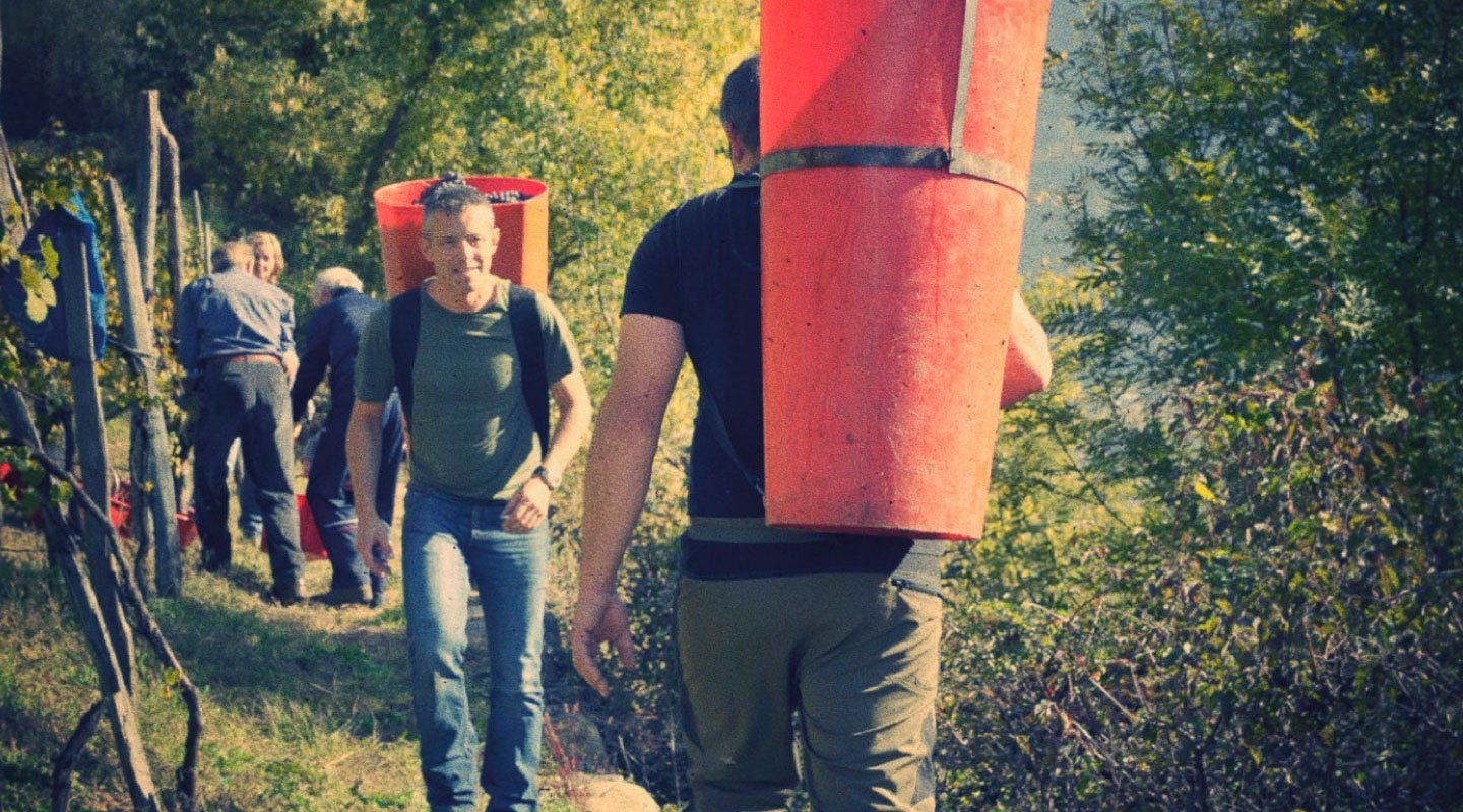 People carrying large red containers with grapes at Barbacàn voneyard