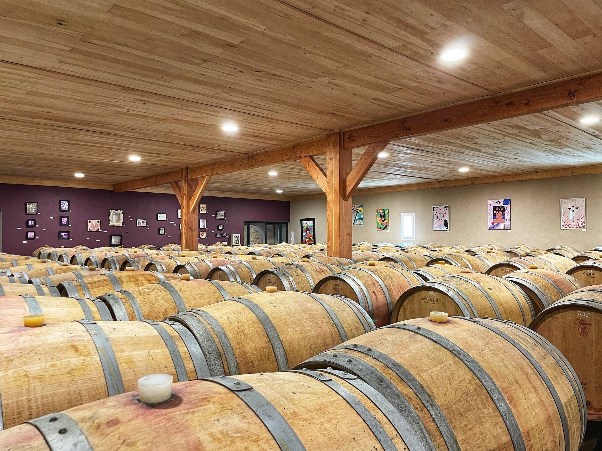 Rows of wooden wine barrels inside a winery, under a wooden ceiling.
