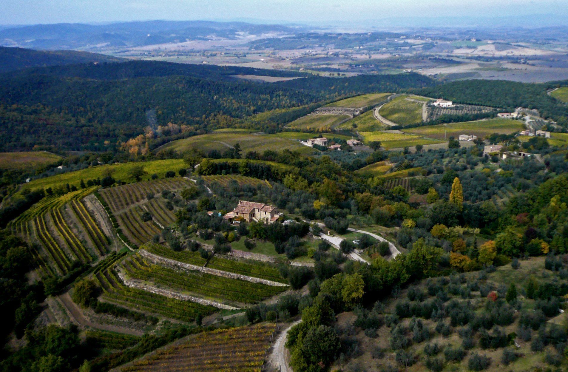 Casa Raia vineyards with olive groves and a villa in the background